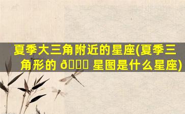 夏季大三角附近的星座(夏季三角形的 💐 星图是什么星座)